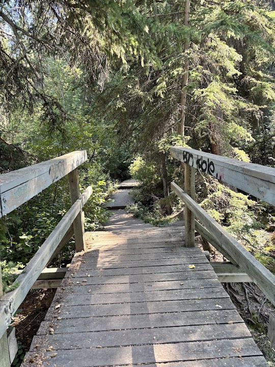 Douglas Fir Trail