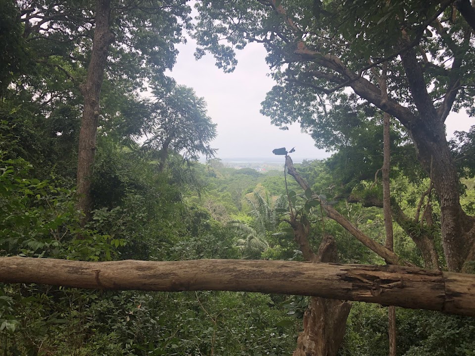Masingini Nature Forest Reserve