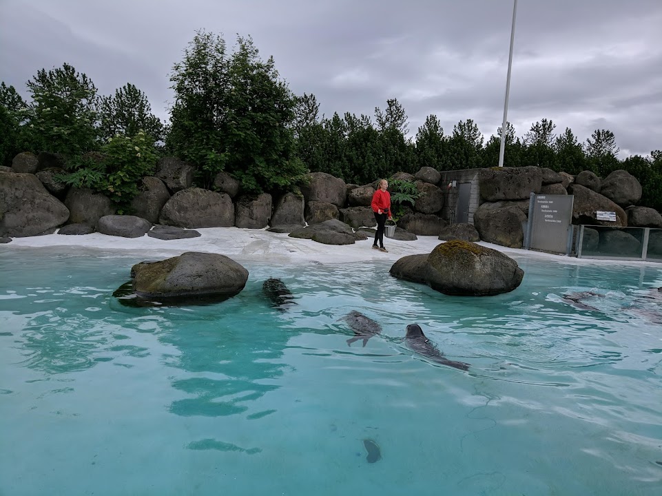 Reykjavík Park and Zoo