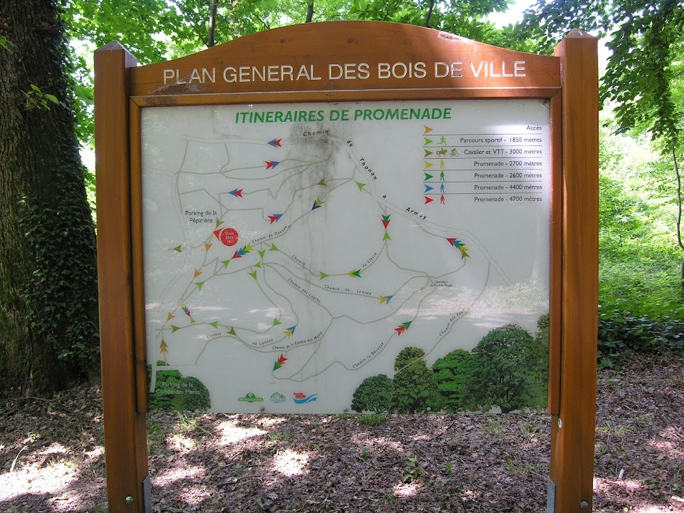 Forêt de Ripaille