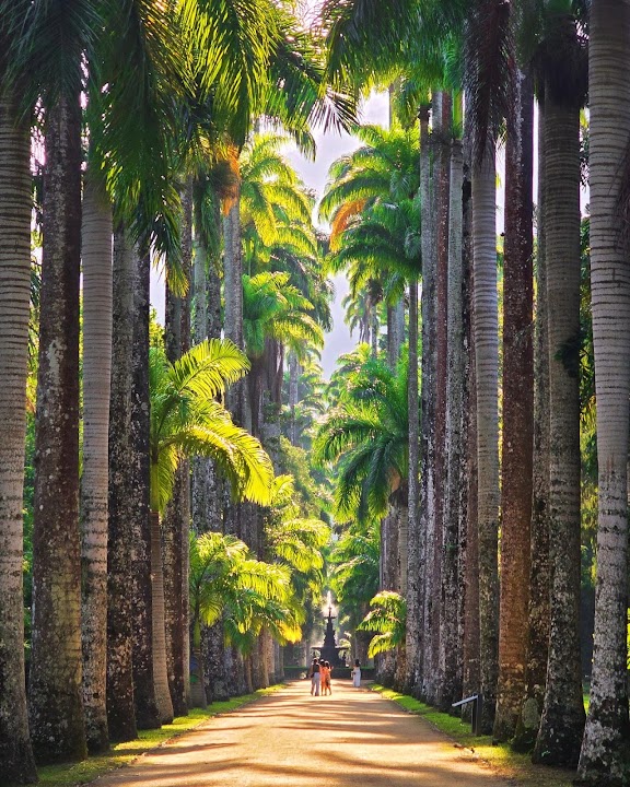 Jardim Botânico — Rio de Janeiro experience