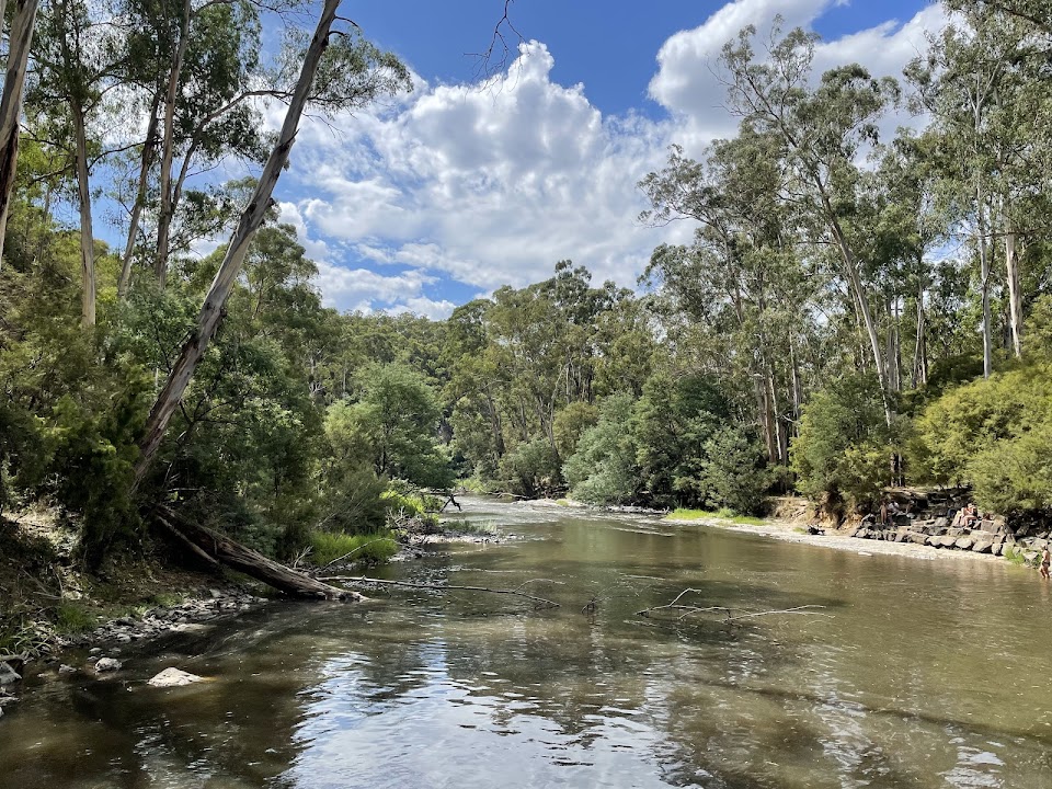 Warrandyte River Reserve