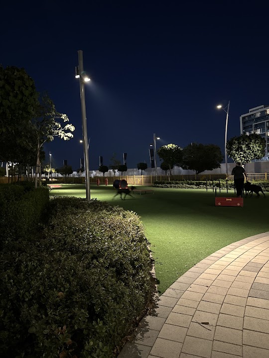 NYUAD Dog Park