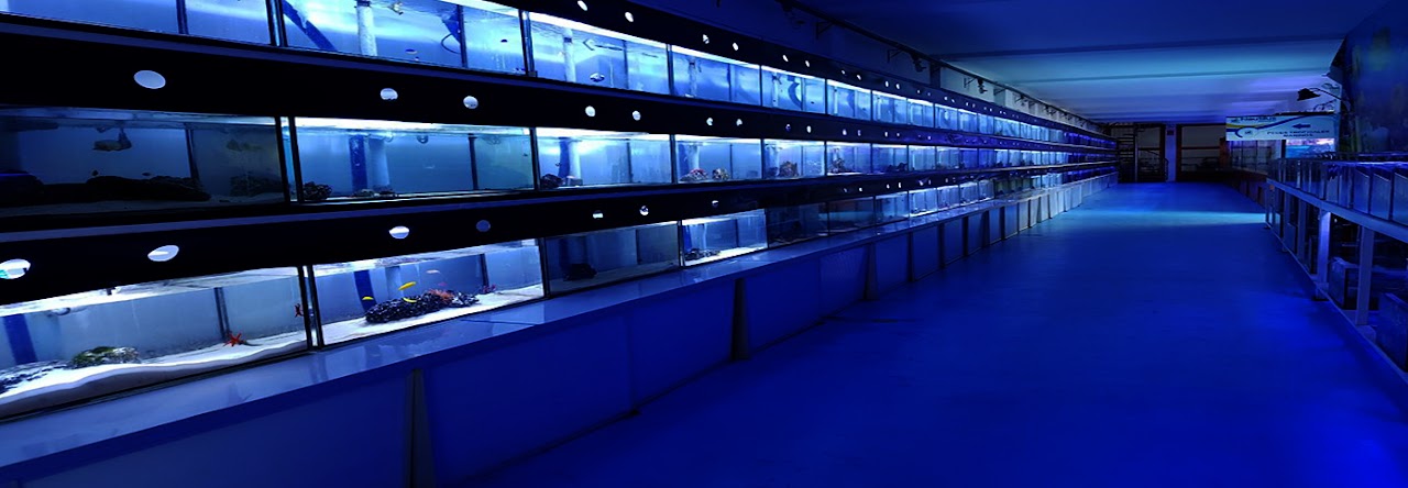 Public Aquarium Nautilus