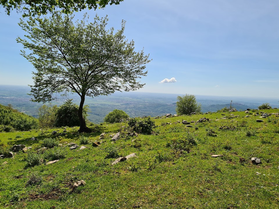 Prato Favale