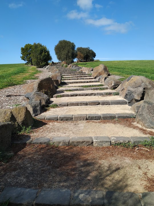 The 100 Steps of Federation