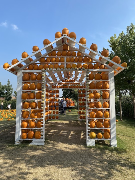 Il Giardino Delle Zucche - Pumpkin Patch