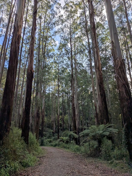 Mathias Walking Track