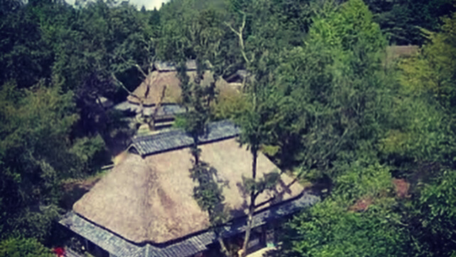 Koka Ninja Village