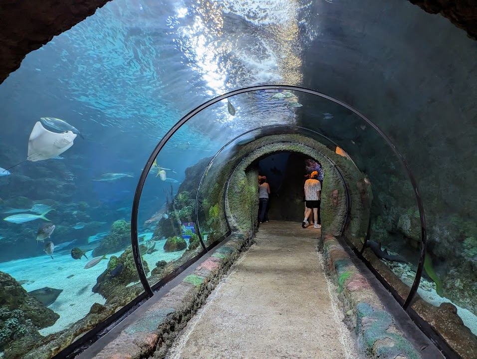 Downtown Aquarium — Denver experience