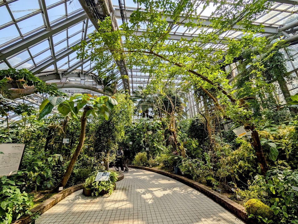 Kyoto Botanical Gardens
