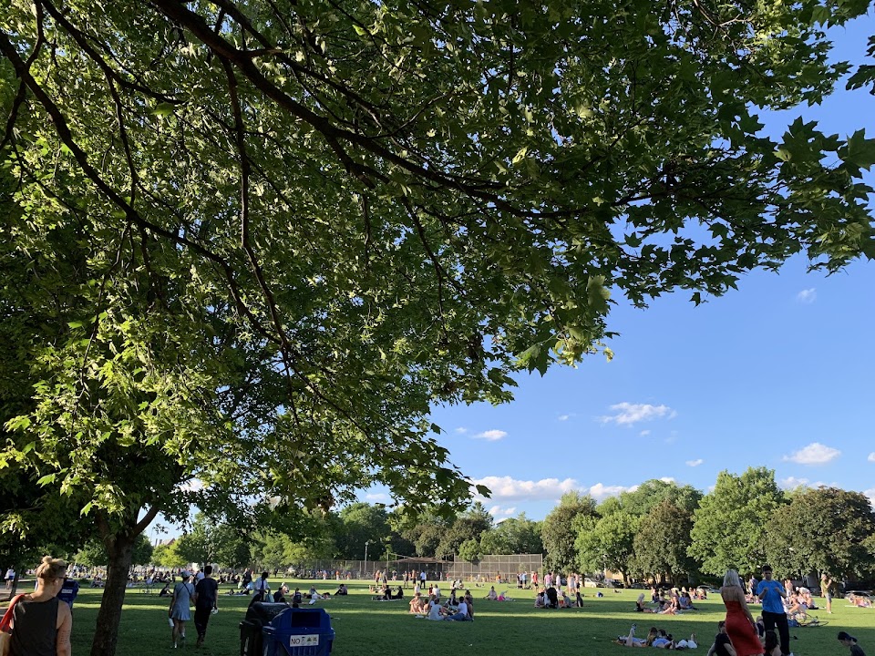 Trinity Bellwoods Park