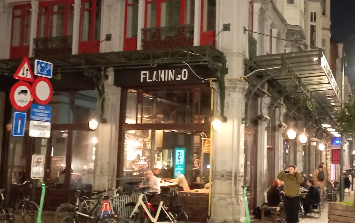 Flamingo
