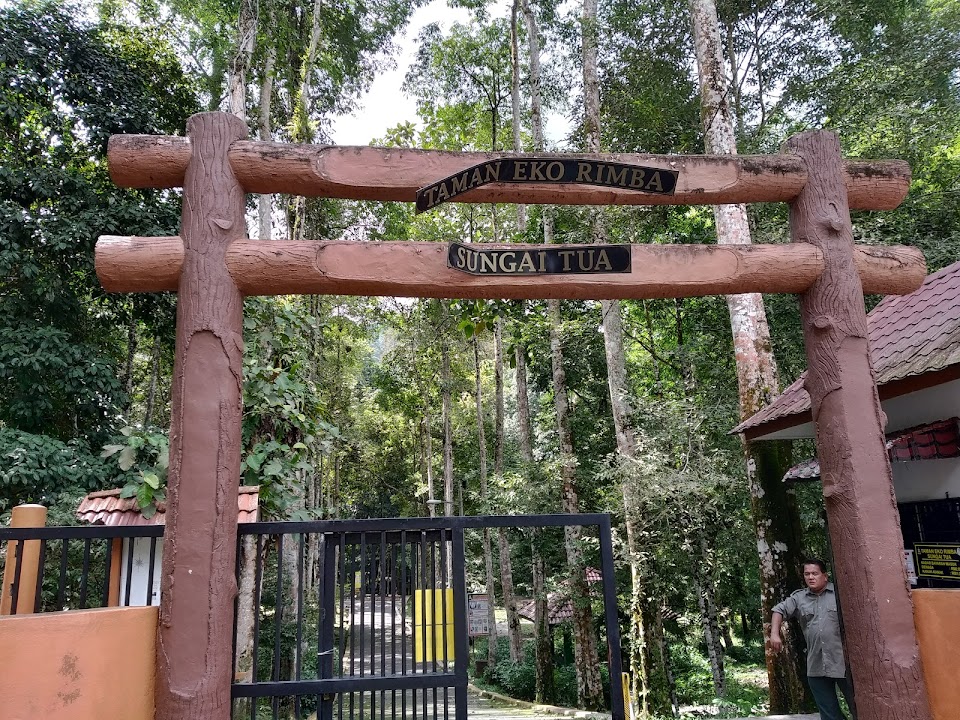 Taman Eko Rimba, Sungai Tua