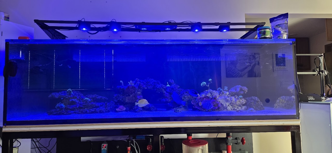 Concept Aquariums