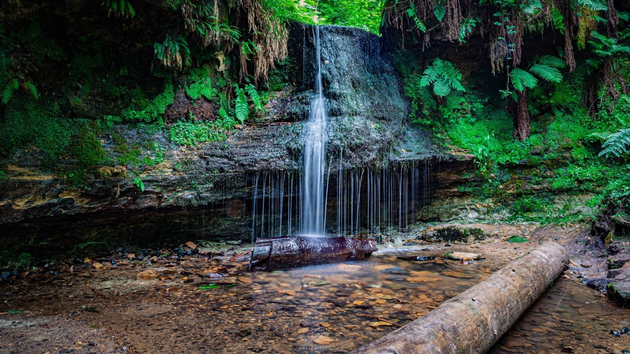 Maspie Den Walk & Waterfall