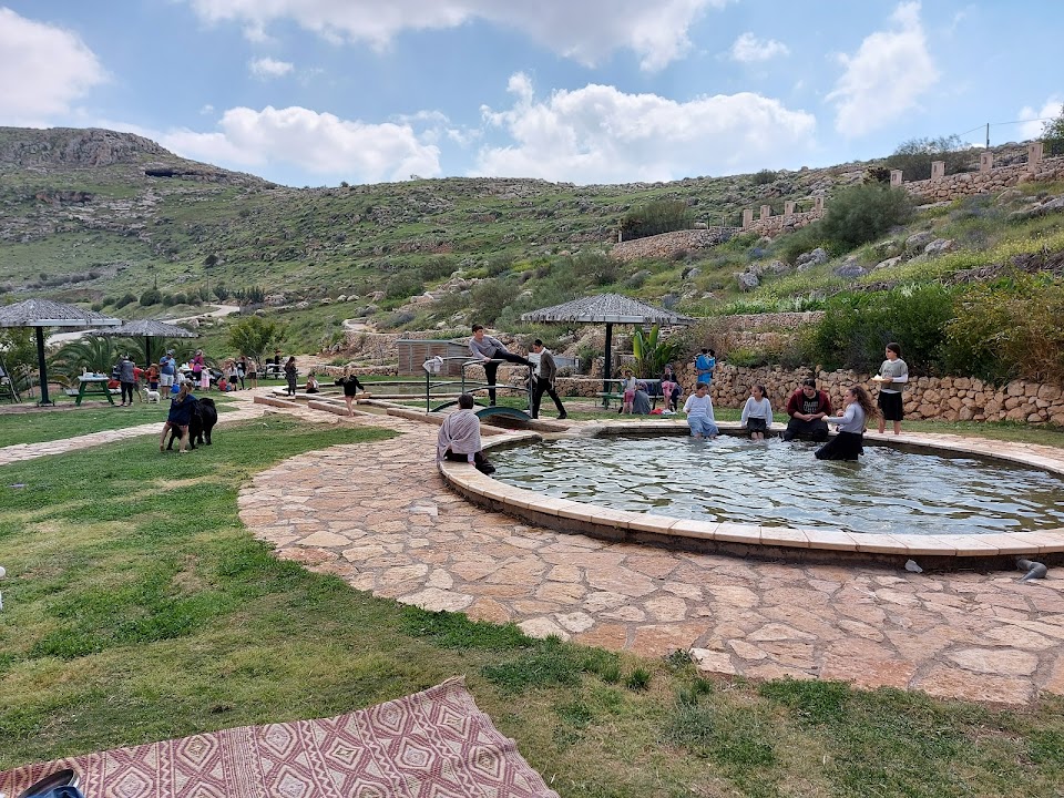 מעיין הכרמים