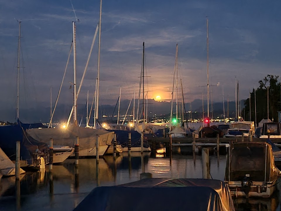 Thalwil