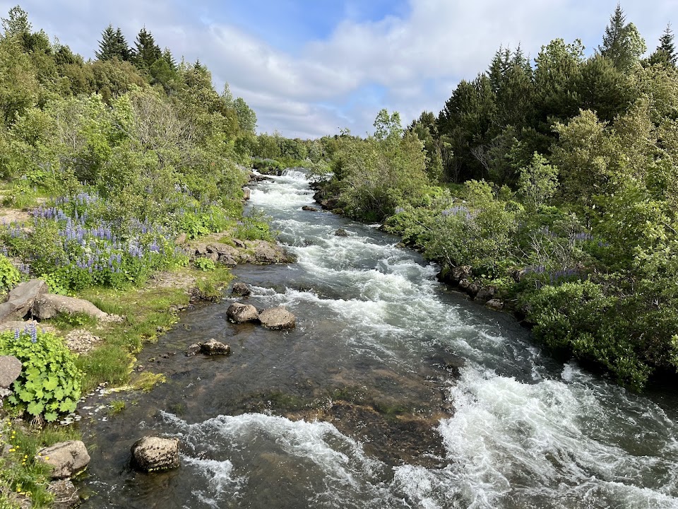 Elliðaárdalur