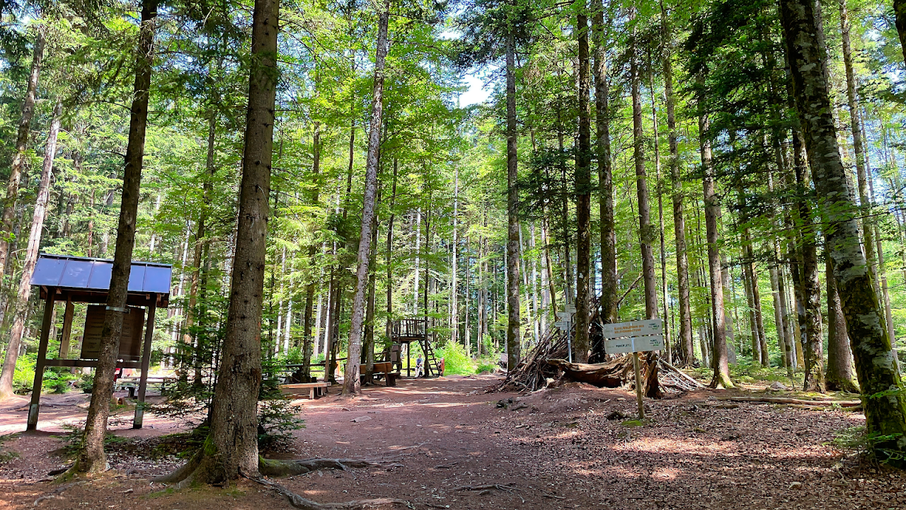 KugelWaldPfad Ühlingen-Birkendorf
