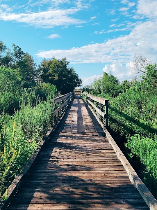 Bayou Sauvage NWR Ridge Trail & Boardwalk
