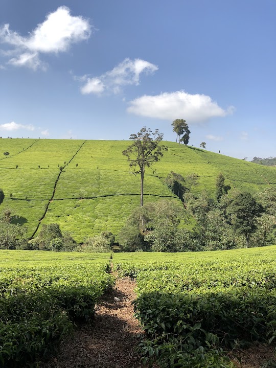 Kieni Waterfalls