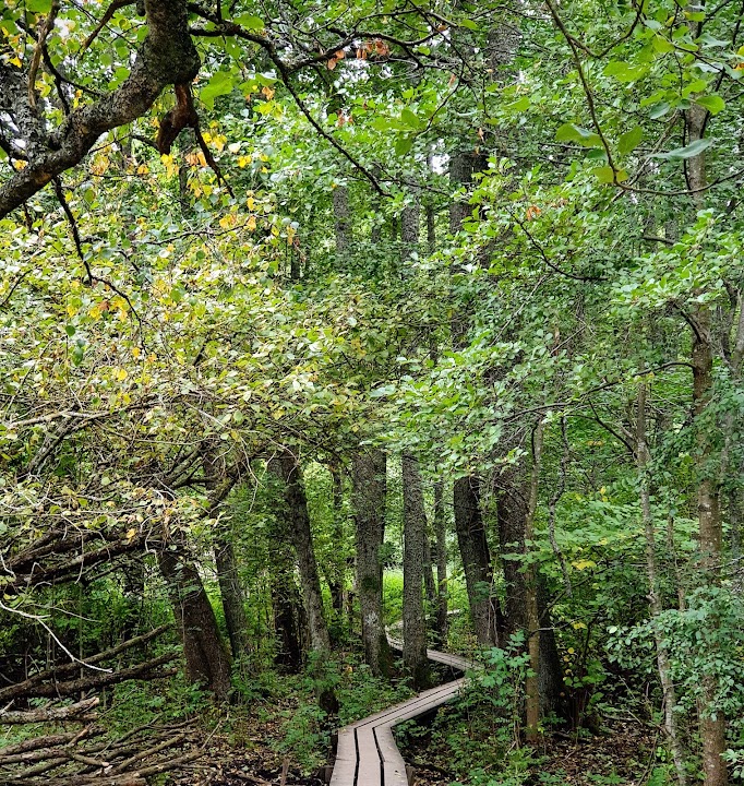 Östra Järvafältet