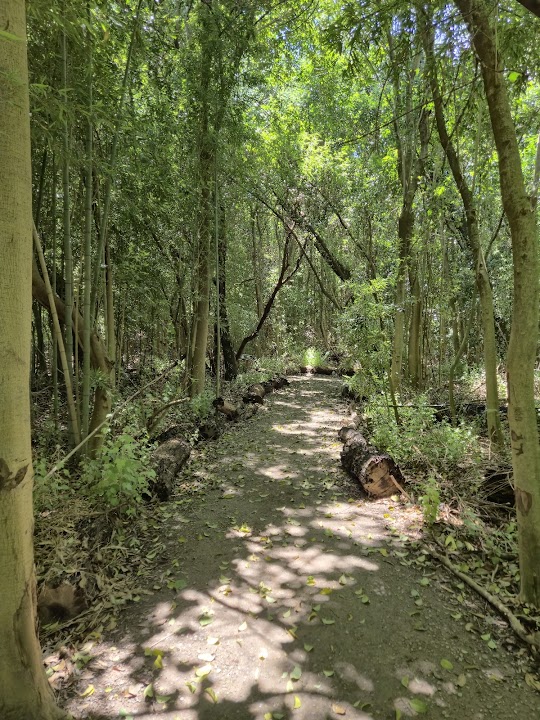 Eco Park