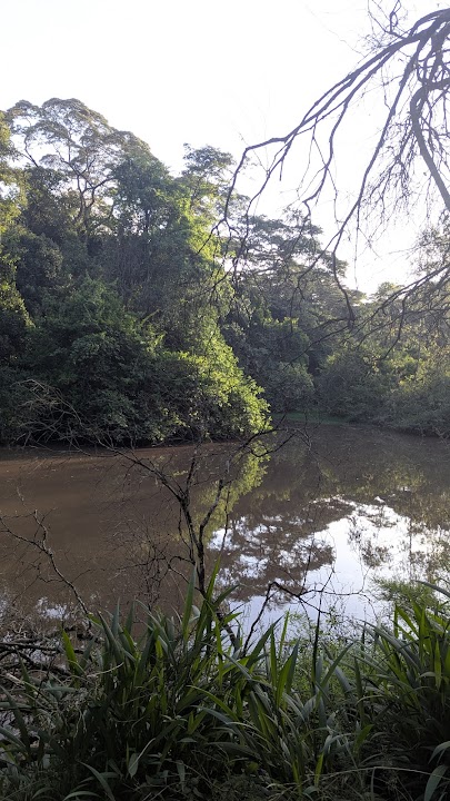 Butterfly Pond