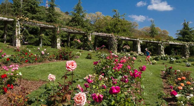 Parc de Cervantes