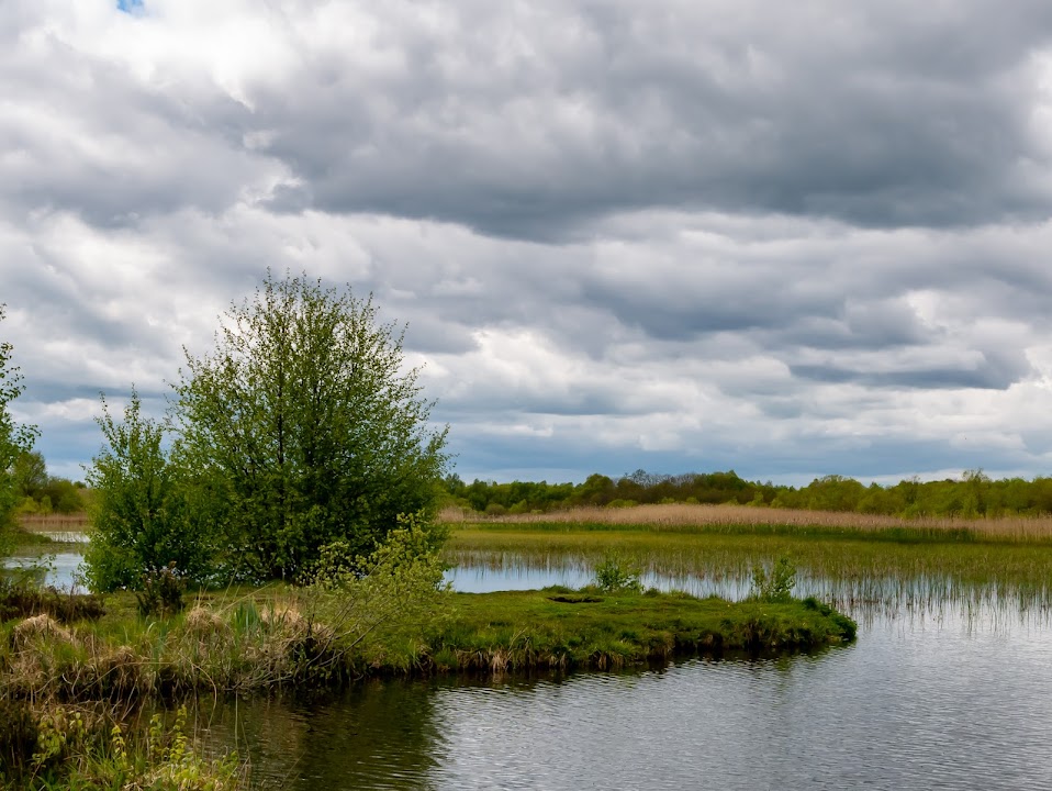 Ballynafagh Lake