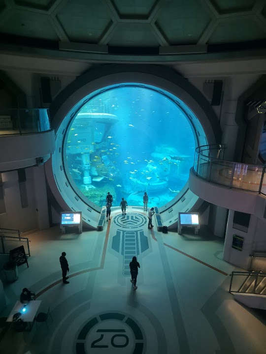 SeaWorld Abu Dhabi | سي وورلد جزيرة ياس، أبوظ