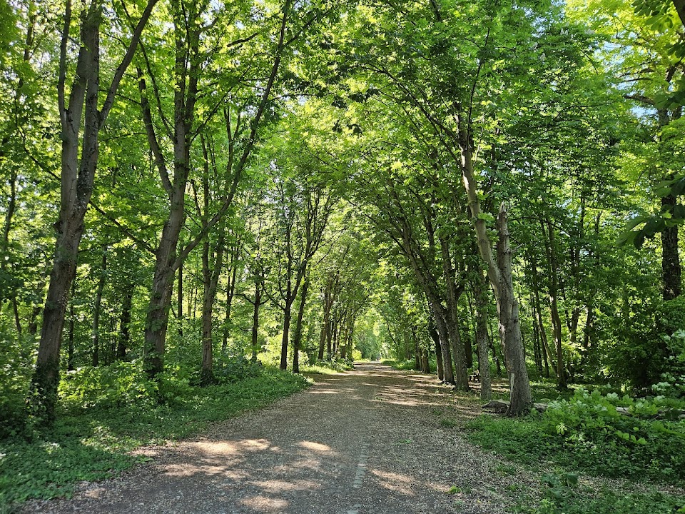Forêt domaniale de Saint-Germain