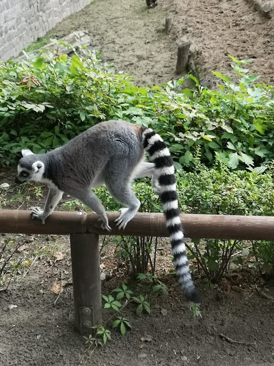 Zoologischer Garten Eberswalde