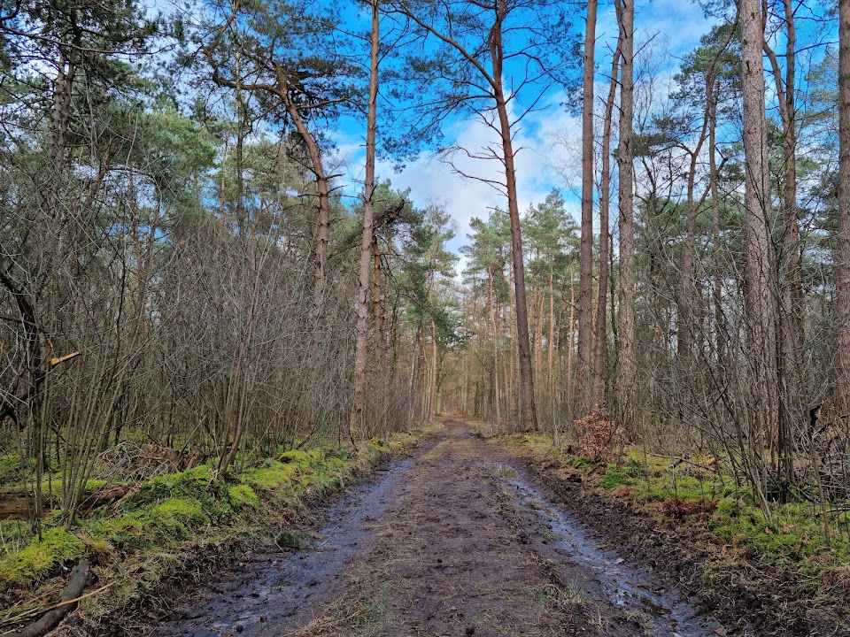 Utrechtse Heuvelrug National Park