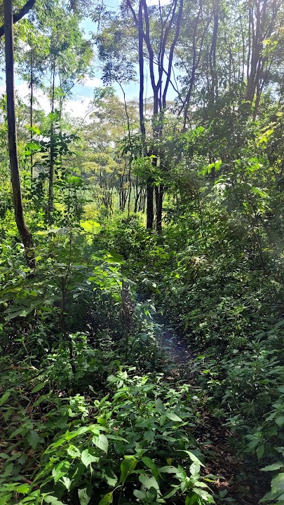 kefri zambezi nderi