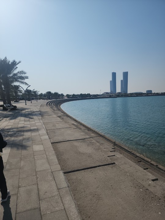 ممشى الوسيل الجديد