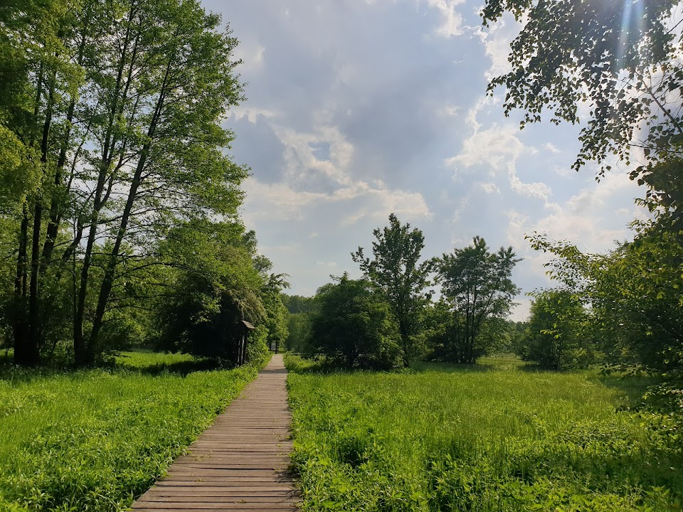 Kładka Motylowe Łąki