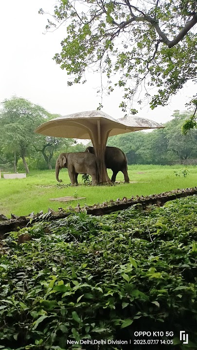 Zoo Park