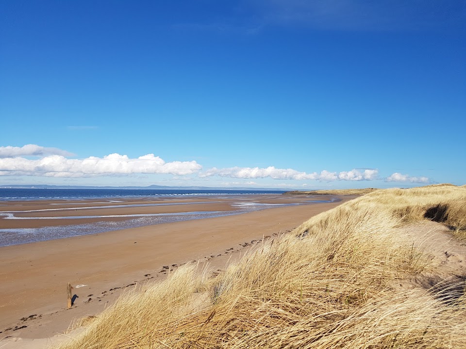 Aberlady Bay Local Nature Reserve