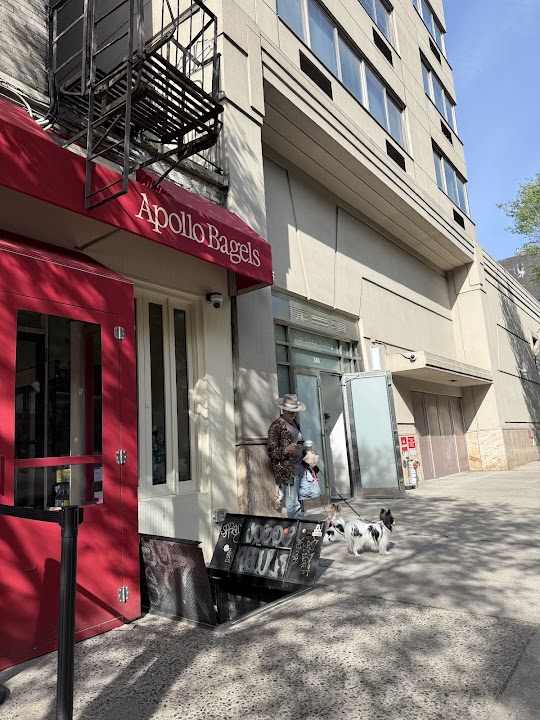 Apollo Bagels