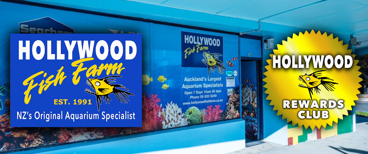 Hollywood Fish Farm