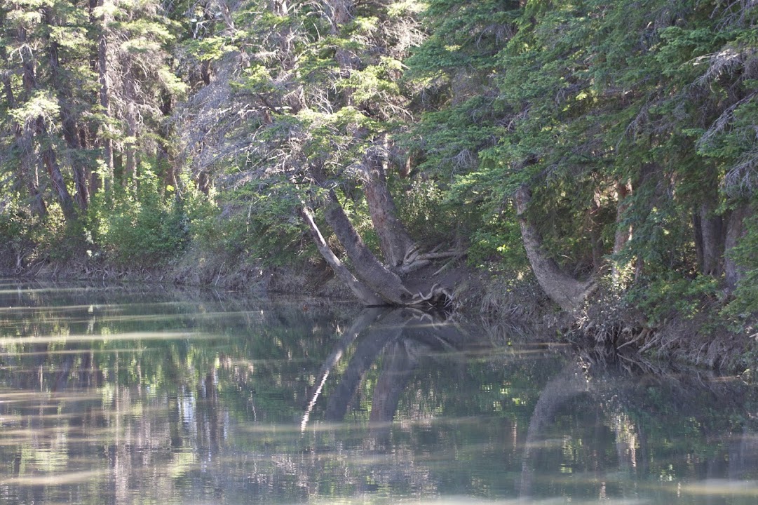Griffith Woods Park
