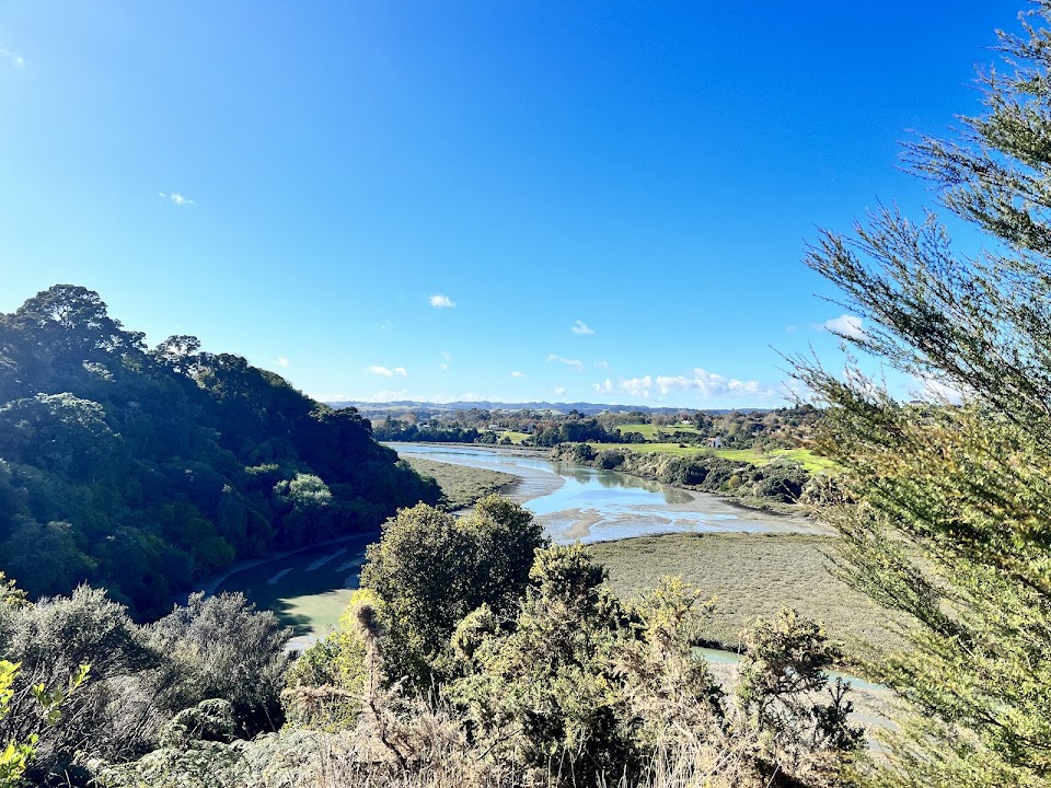 Mangemangeroa Reserve