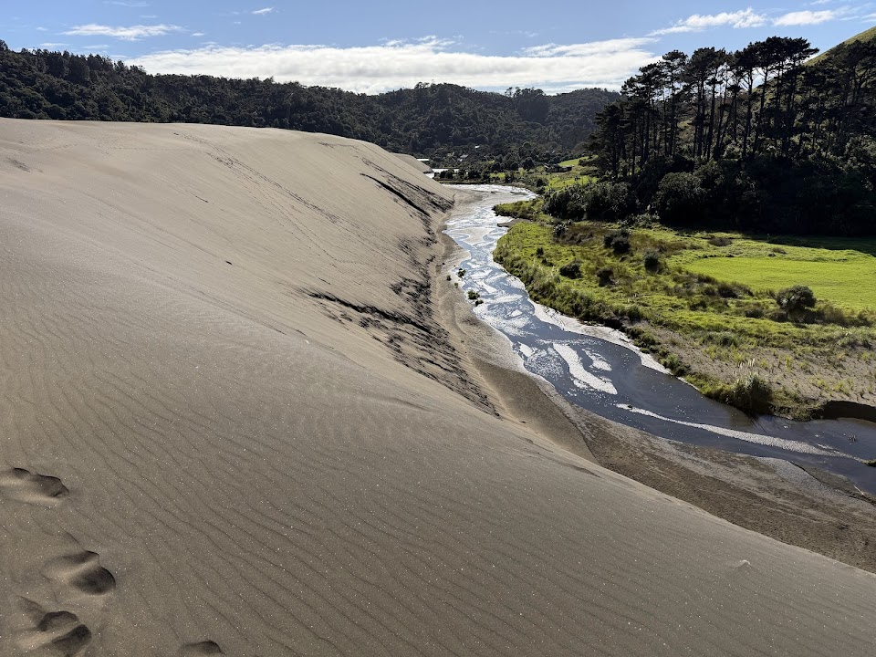 Bethells Beach Sand Dunes