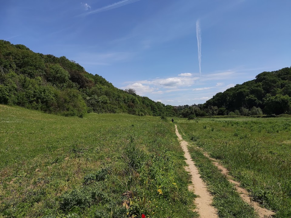 Riserva Naturale dell'Insugherata