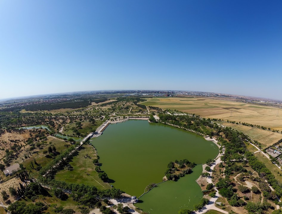 Forestal de Polvoranca Park