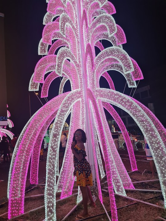 Eko Hotel Roundabout — Lagos experience