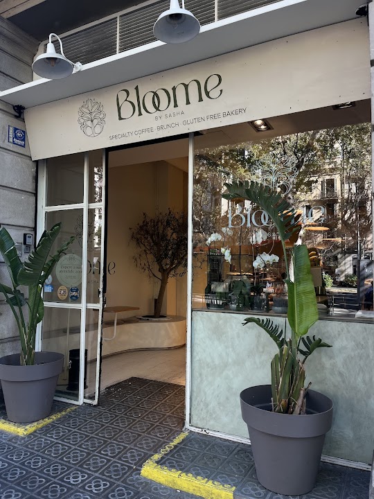 Bloome by Sasha | Passeig Sant Joan