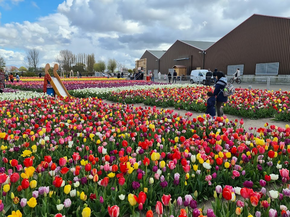 The Tulip Barn